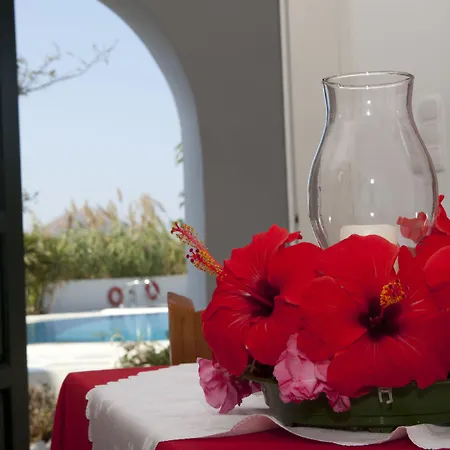 Something Else 2* Agia Anna (Naxos)