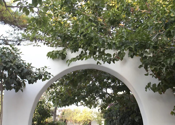 Something Else Aparthotel Agia Anna (Naxos)